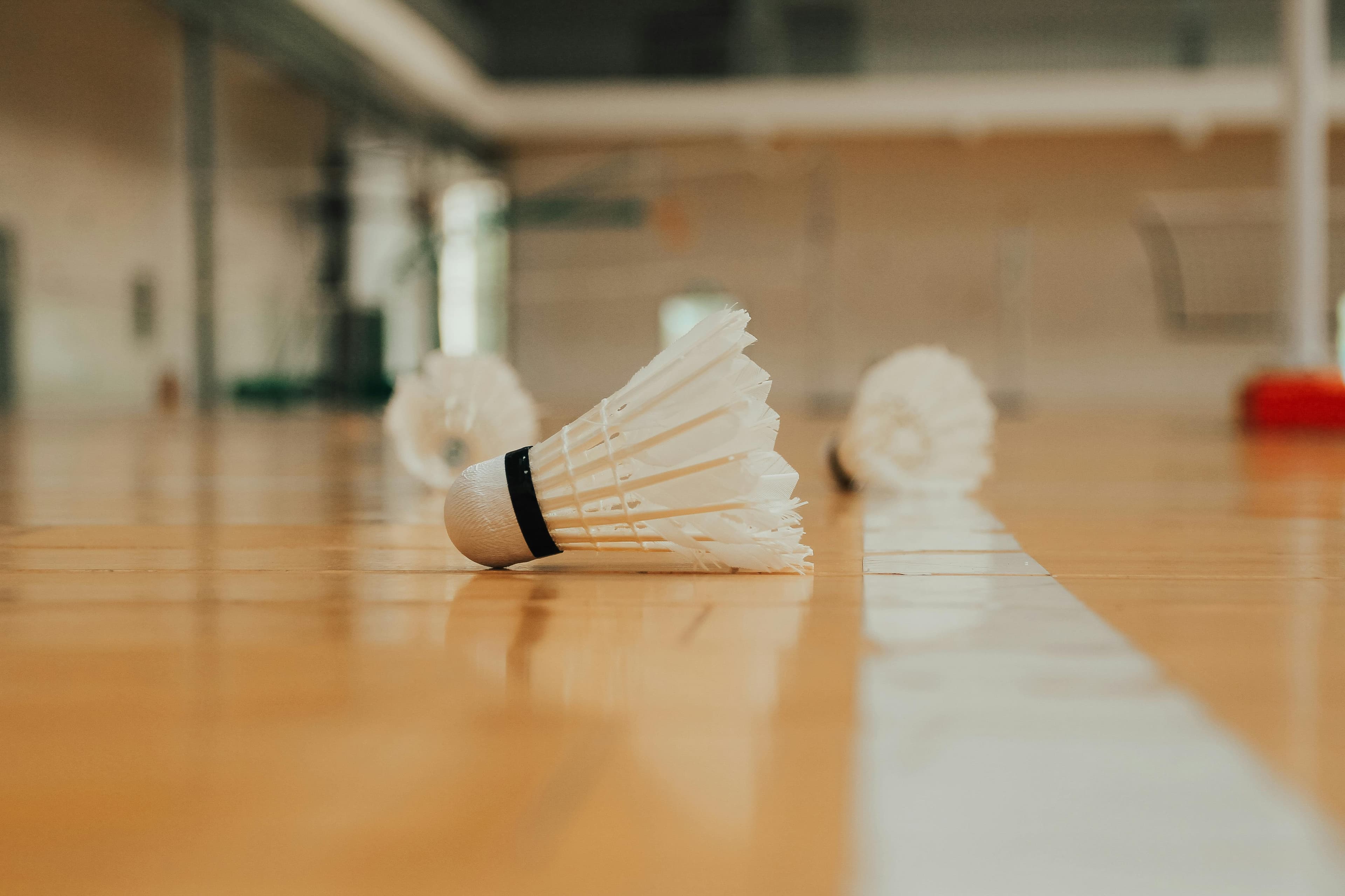 Photo activité : badminton