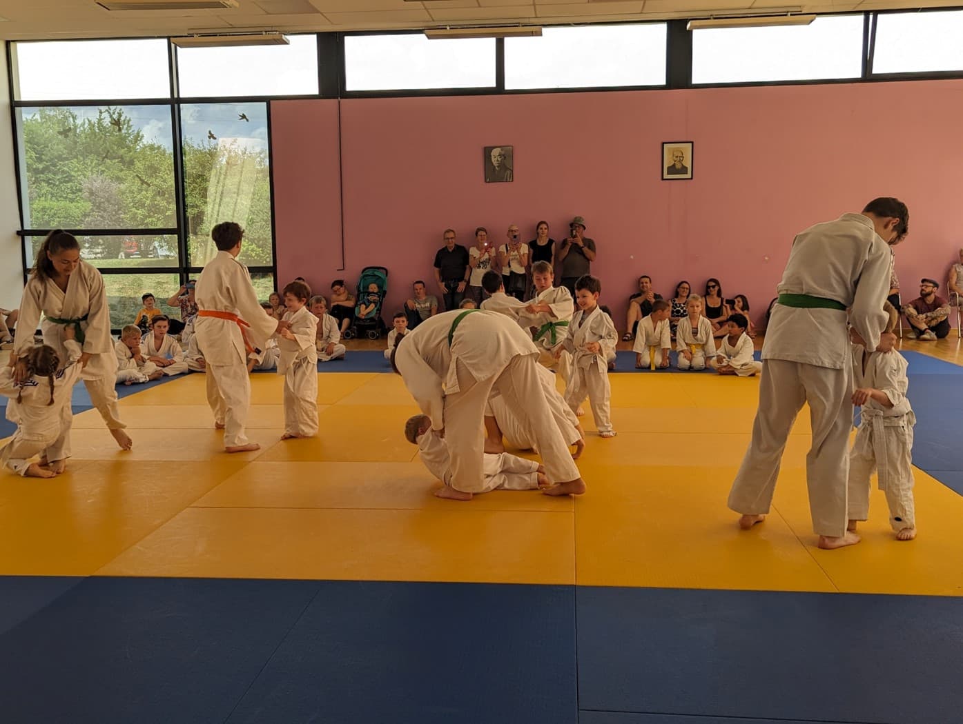 Photo activité : judo