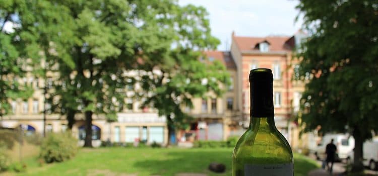 Photo activité : oenologie