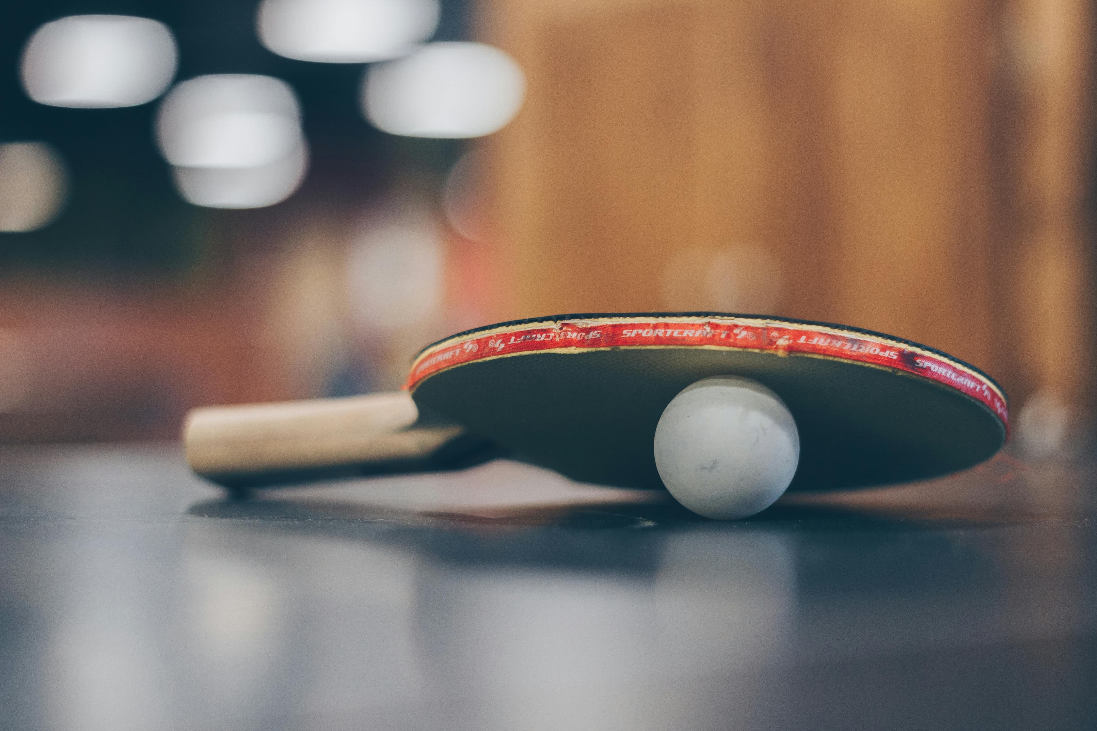 Photo activité : tennis de table